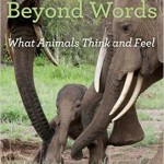 Beyond Words - What Animals Think and Feel